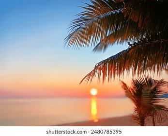 Sunrise sea beach, sunset ocean tropical island, coconut palm tree leaves, soft color blurred background, pink red sky, sun reflection on blue water, peaceful relaxed dawn landscape, summer holidays - Powered by Shutterstock