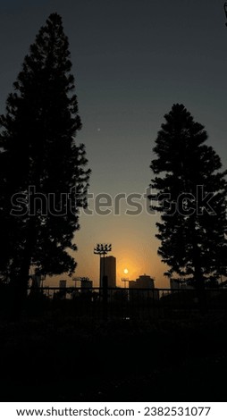 Sunrise with shilhouette of city buildings and pine trees