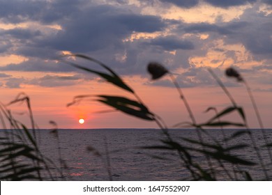  Sunrise silhouette through shoreline reeds. Dnepr River. Ukraine