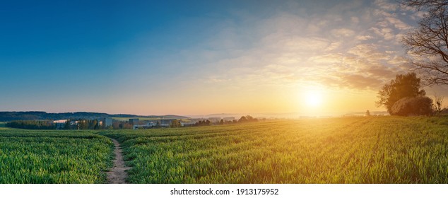 Sunrise sky over green field at springtime, rural landscape panorama