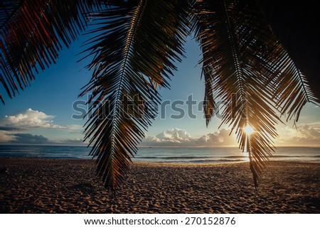 Sunrise sky over sea and palm branch.Tropical beach,Sri Lanka, sand coastline, beautiful landscape, exotic nature, summer vacation, travel and tourism concept
