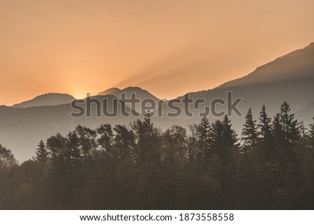 Sunrise in Squamish. Sun poking out behind the mountain in a very smoky foggy day, creating sun beans through the smoke. Pine tress in the foreground