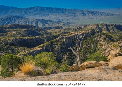 At sunrise a stunning panoramic view of a rugged mountain landscape with sprawling horizons and lush greenery. A solitary tree stands amidst rocky terrain, capturing the essence of untouched beauty. - Powered by Shutterstock