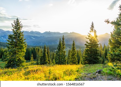 Sunrise sunlight sunburst through tree in San Juan mountains in Silverton, Colorado in 2019 summer morning with forest landscape view