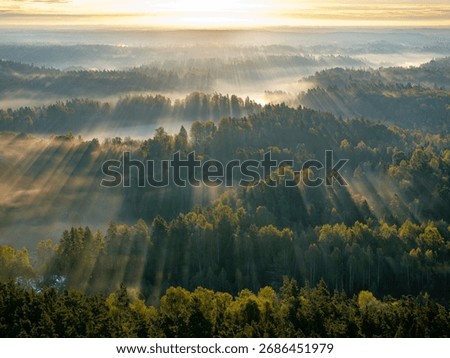 Sunrise with sunrays over the forest