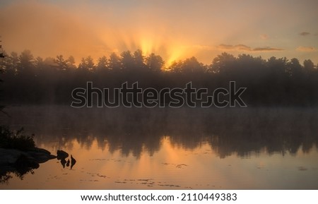 sunrise or sunset behind trees with reflection on calm water of lake at dawn or dusk on lake in cottage country of Ontario horizontal format room for type natural backdrop background or wallpaper 
