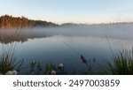 sunrise, sunset landscape by the marsh lake, morning fog, reflections in the water, traditional marsh lake vegetation, Latvia