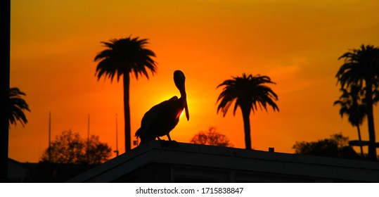 Sunrise Sunset At Long Beach California