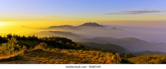 505,924 Forest panoramic view Images, Stock Photos & Vectors | Shutterstock