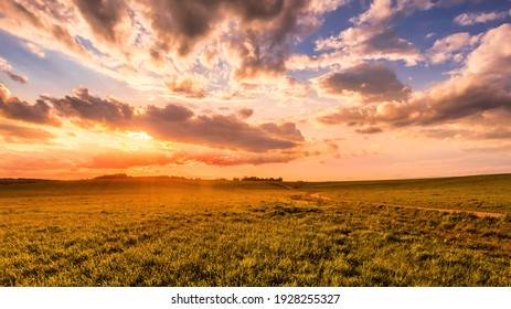 Sunrise or sunset on a field covered with young green grass and yellow flowering dandelions in springtime. Sunbeams making their way through the clouds. - Powered by Shutterstock