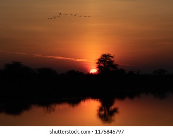 Sunrise and sunsets of Africa in the bush - Shutterstock ID 1175846797