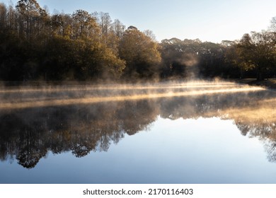 Sunrise In Tampa Bay, Florida