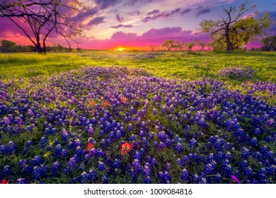 Sunrise in the Texas Hill Country - Shutterstock ID 1009084816
