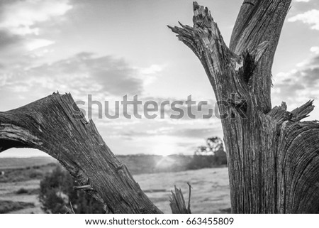 Foto Bild Steg Seeufer Bucht Stein