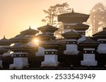 The sunrise through fog at the Dochula Pass Tibetan Buddhist Stupas Chorten in the Himalayas of Bhutan