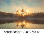 Sunrise through pine trees fog and a sunburst on a northern Minnesota lake during summer