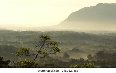 Sunrise in the tropical foggy forest and mountains in Veracruz Mexico, Eastern Sierra Madre of Mexico - Powered by Shutterstock