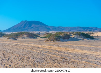 4,018 Sand dunes corralejo Images, Stock Photos & Vectors | Shutterstock