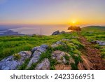 Sunrise view of the Sea of Galilee, from Mount Arbel (west side), with winter wildflowers, Northern Israel