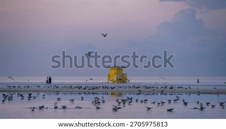 Sunrise  view of Siesta Key Beach with yellow lifeguard stand and pink sky and many birds