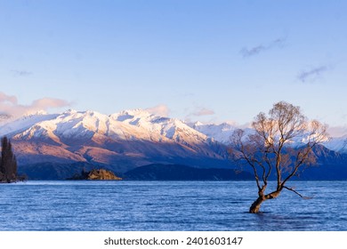 Sunrise at the Wanaka Tree in New Zealand - Powered by Shutterstock