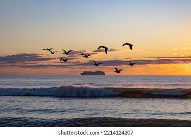 At Sunrise, Waves Crash Onto The Beach, As A Cruise Ship Rests On The Horizon, And Birds Fly Overhead.