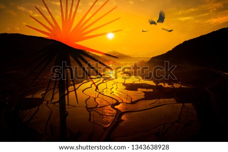 Similar – Image, Stock Photo Midnight sun at North Cape