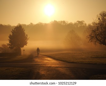 Sunrise In Windsor Great Park