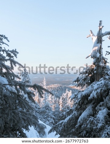 Sunrise in a winter landscape in Quebec