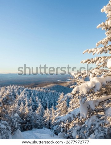 Sunrise in a winter landscape in Quebec