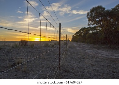 Sunrise With Wire Fence In Foreground. Little Desert National Park, Victoria, Australia