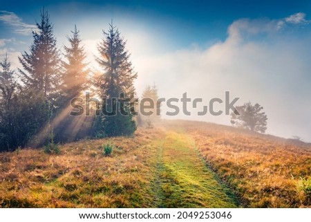 Sun's rays break through the thick fog. Colorful autumn scene of mountain valley. Picturesque morning view of Carpathian mountains. Beauty of nature concept background.