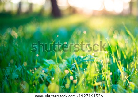 Similar – Image, Stock Photo Raindrops and sun rays on the garden chair