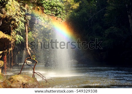 The sun's rays through the jungle on the river