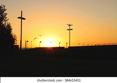 Sunset