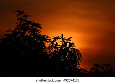 Sunset
