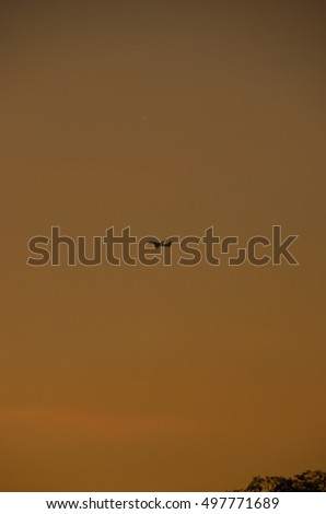 Similar – Image, Stock Photo up and away Sky Twilight