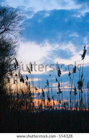 Similar – Image, Stock Photo Enduring dream | Daydream