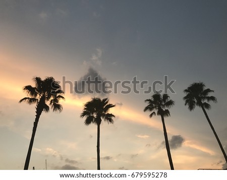 Sunset