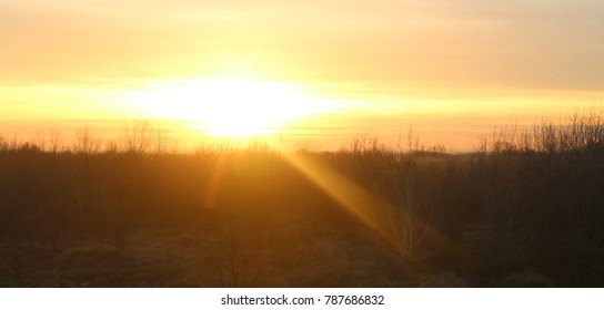 Sunset above a forest 