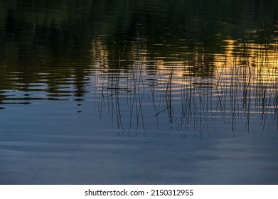 Sunset Above Forest Lake In Grundy Lake Park, Canada