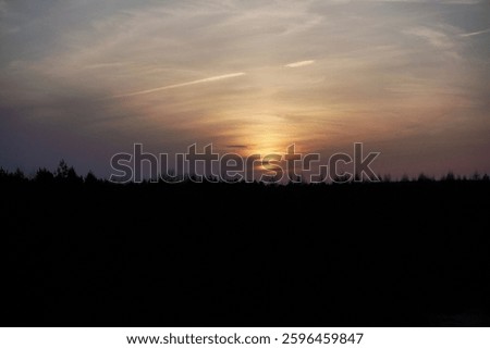 sunset above forest trees, colored sky and clouds