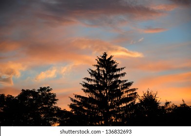 Sunset Above The Treeline