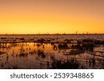 Sunset after the sun has dropped below the horizon with an orange glow and reflections on a lake filled with grasses and dead trees in Lake Pamamaroo near Menindee in New South Wales, Australia.