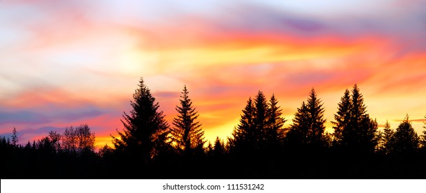 Sunset In Alaska. Panorama Of A Big Colorful Sky Above Silhouetted Trees.