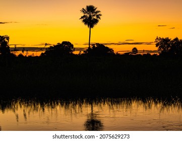 Sunset In The Amazon Jungle In Bolivia