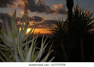 Sunset with artificial light.
