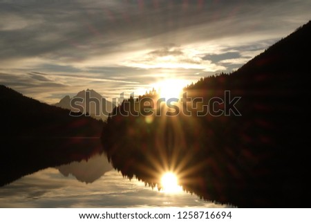 Similar – Image, Stock Photo sunshine Autumn 2007 Sun