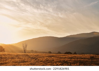 sunset australian countryside, golden hour in Australia - Powered by Shutterstock