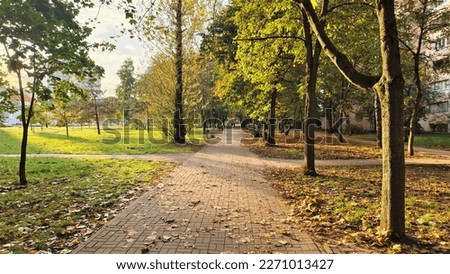 At sunset in the autumn the sun shines between the buildings of the city block, breaking through the trees with yellow leaves and illuminating the grassy lawn and the tiled sidewalk with fallen leaves